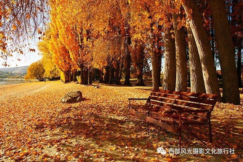 御龙在天