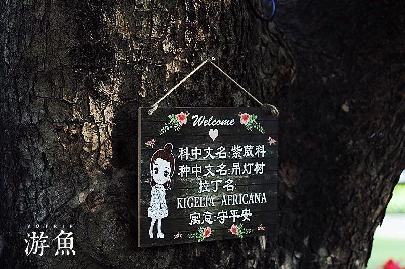 越「腹黑」越有魅力?发现你的暗黑特质